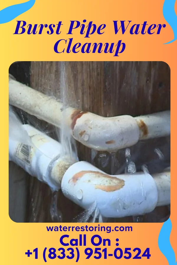 Burst Pipe Water Cleanup in Maxwell, NM