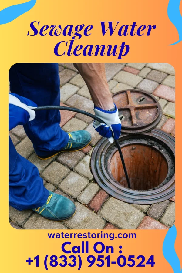 Sewage Water Cleanup in Maxwell, NM