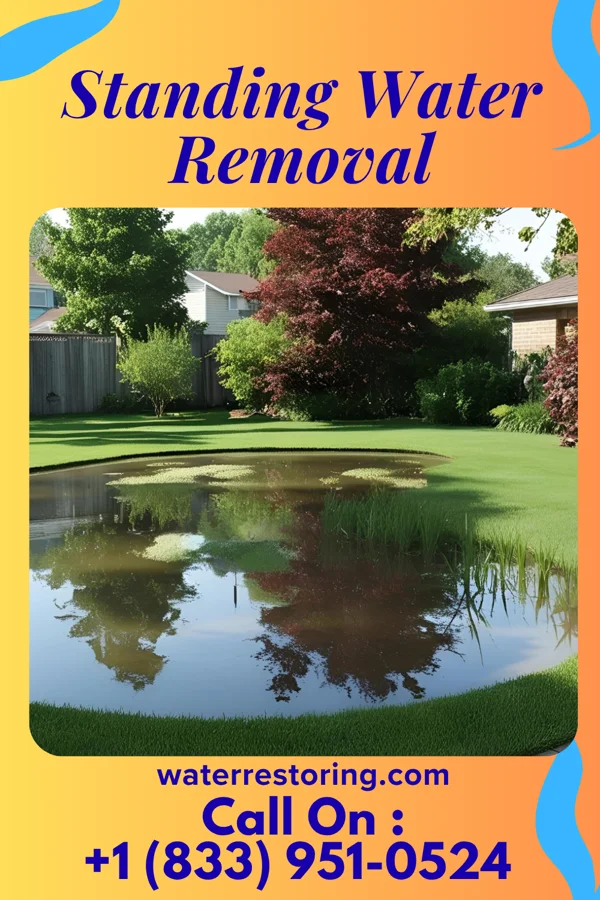 Standing Water Removal in Maxwell, NM